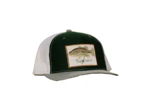 Largemouth Bass Snap Back | Reel Addicts