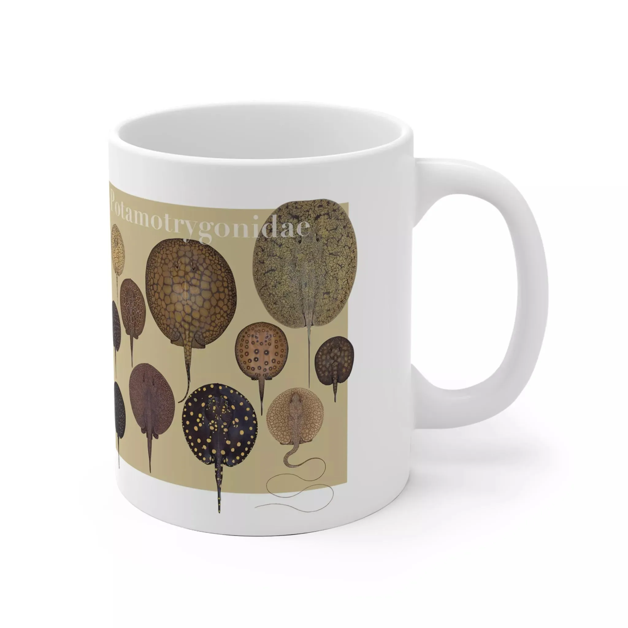 Rays of the World 2021 Calendar -  Mug