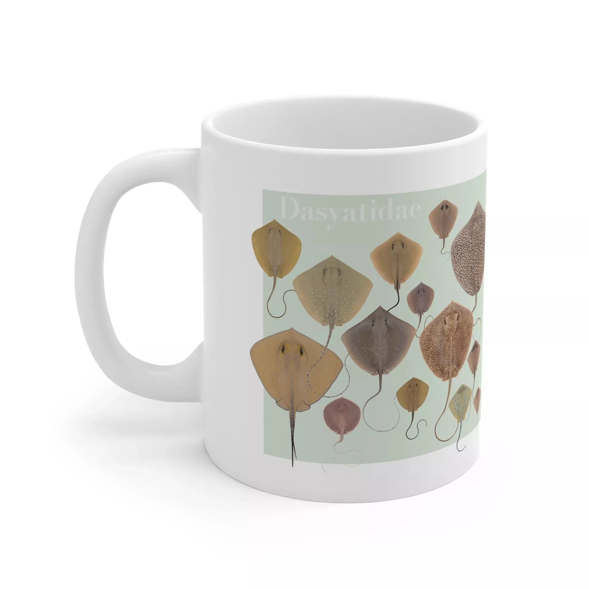 Rays of the World 2021 Calendar -  Mug