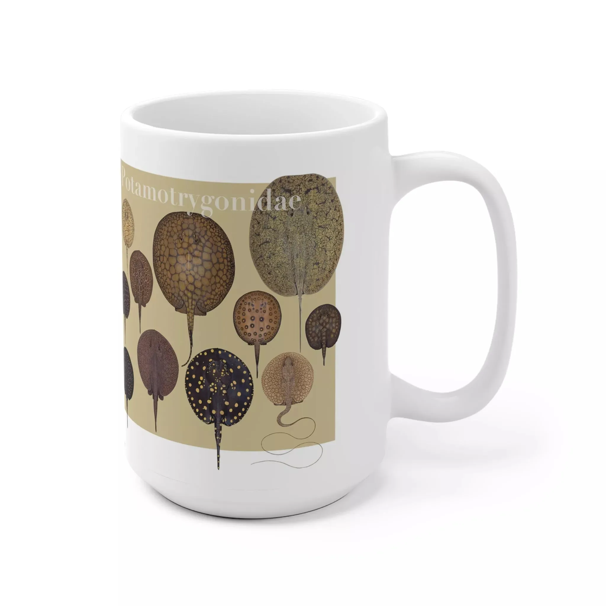 Rays of the World 2021 Calendar -  Mug