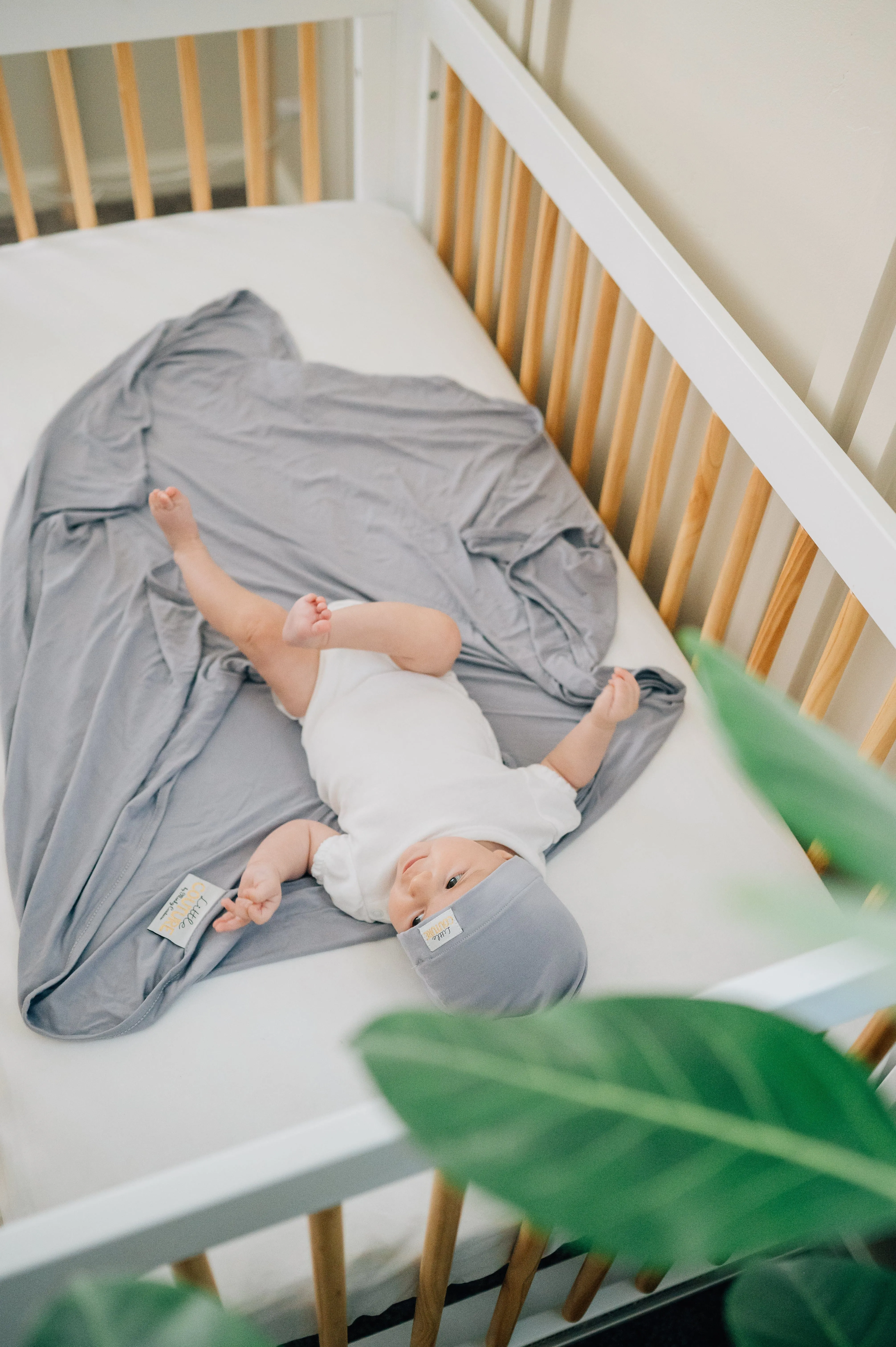 Swaddle and Hat - French Lavender