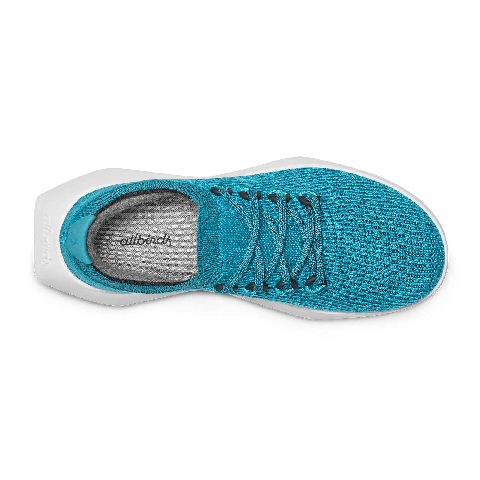 Women's Tree Dasher 2 - Thrive Teal (Blizzard Sole)